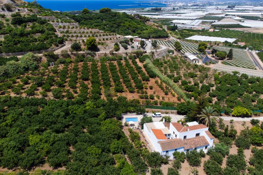 Villa Estévez - foto 31