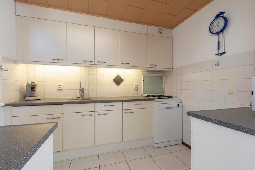 Campanula 52 - foto 5