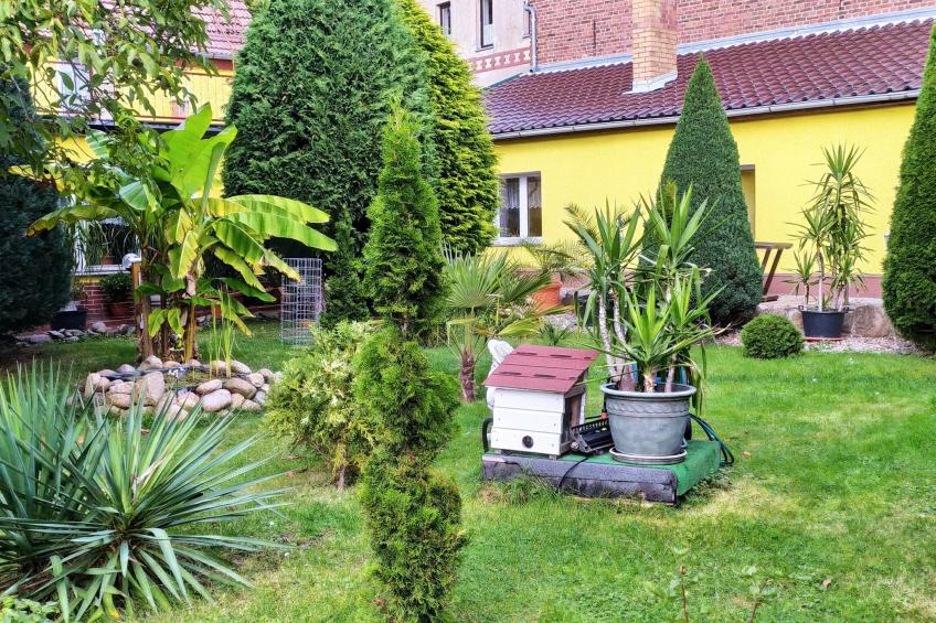 Gemütliche Wohnung mit Terrasse