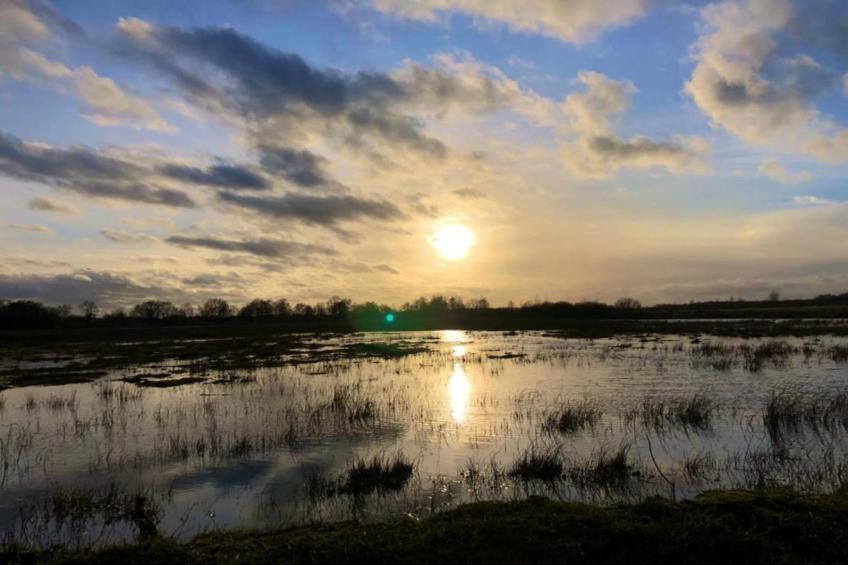 Chalet Egel - foto 16