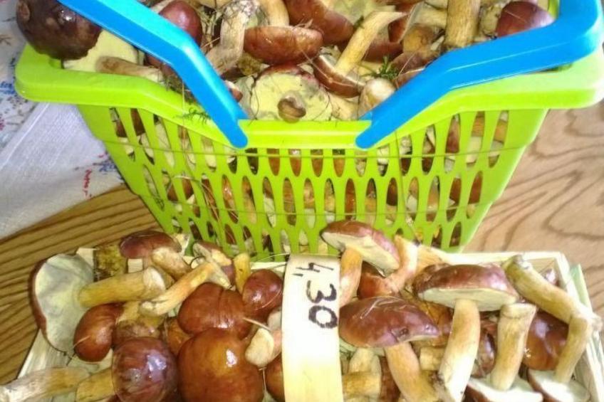 Am Apothekerberg - foto 32