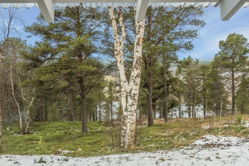 Torvokoski - foto 25