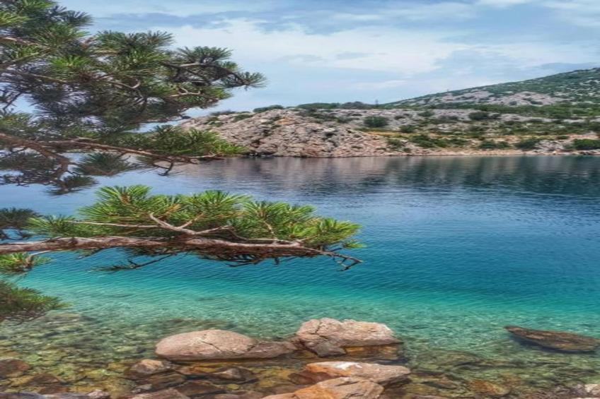 Studio Apartments Darija - A2 - foto 18