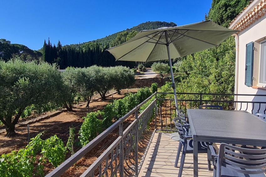 im Herzen der Weinberge, schattige Terrasse umgeben von Grün, Pool
