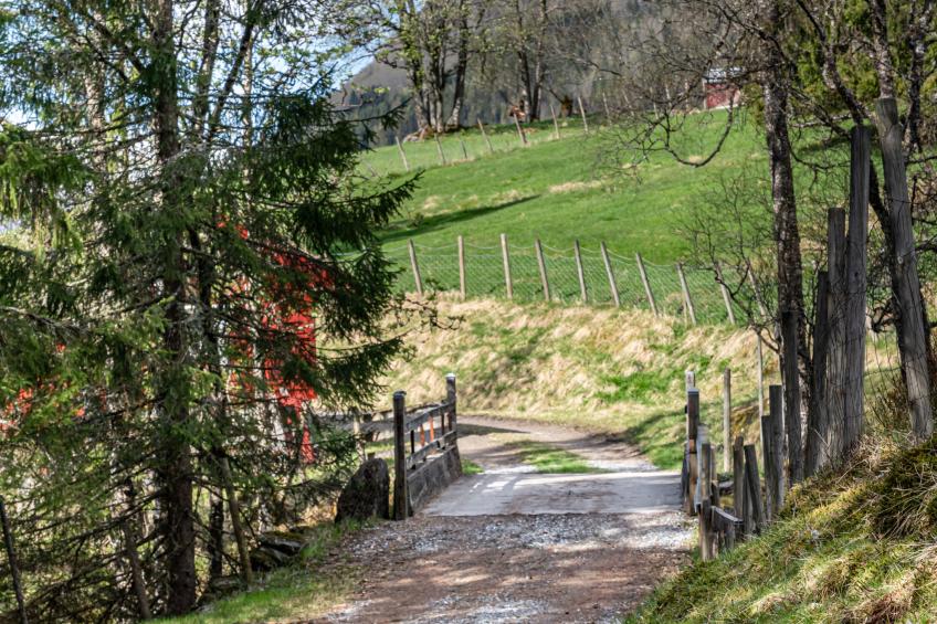 Fjellbris (FJS106) - foto 35