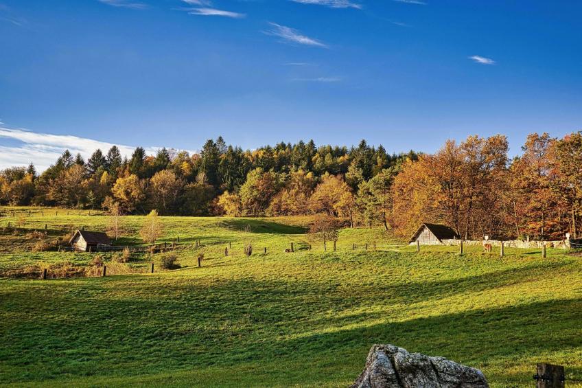 Visnja Gora Meadow Hideaway with Terrace - One Bedroom Cottage with Terrace (owner Hiška na skalci) - foto 25