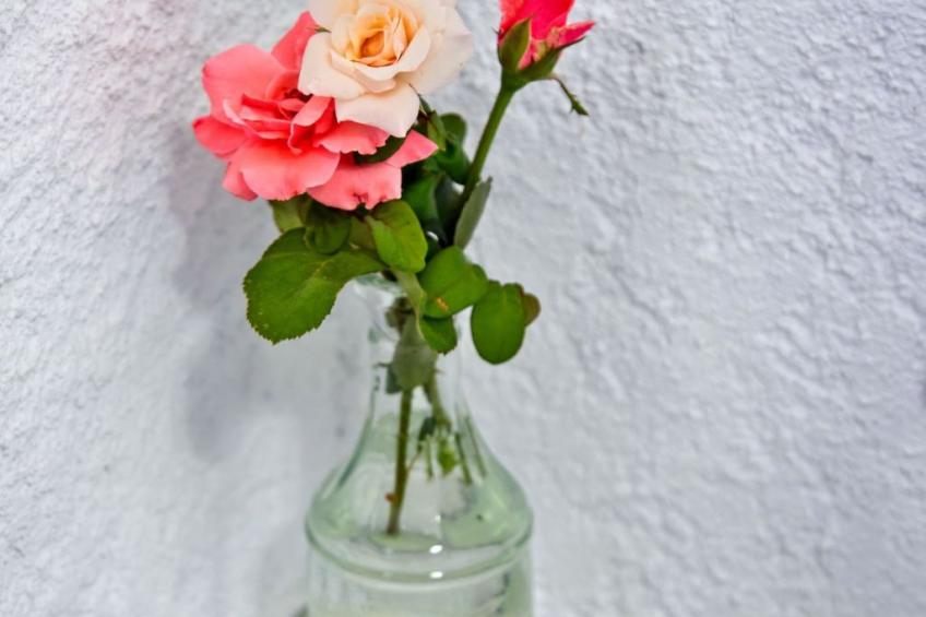 Wohnung mit Gartenblick, Kreta, Ierapetra - foto 18