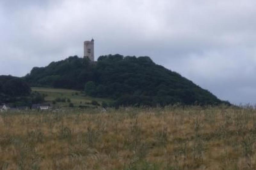 Am Waldrand - foto 39