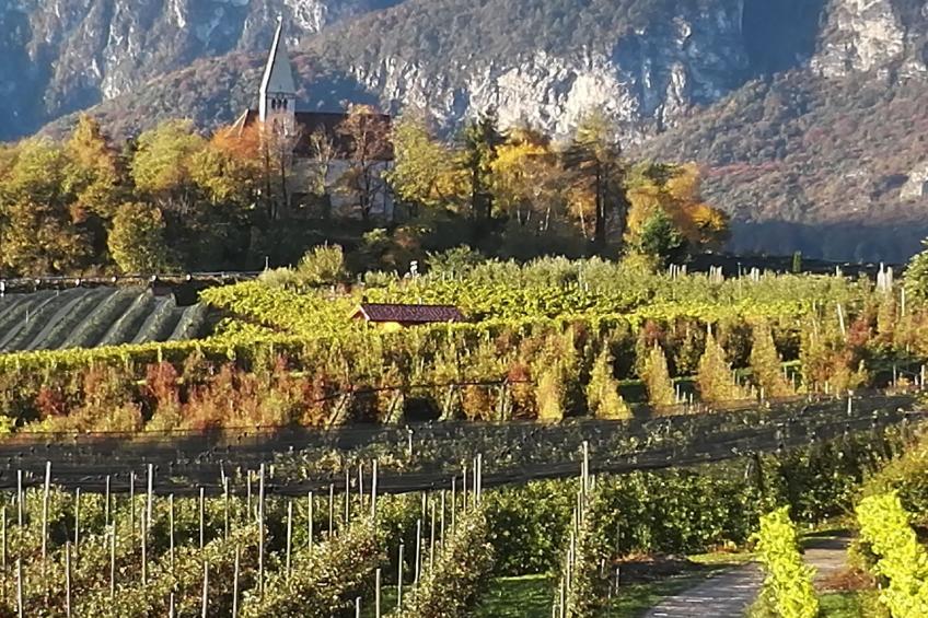 Apartment Merlot in Kurtatsch mit Panoramablick - foto 25