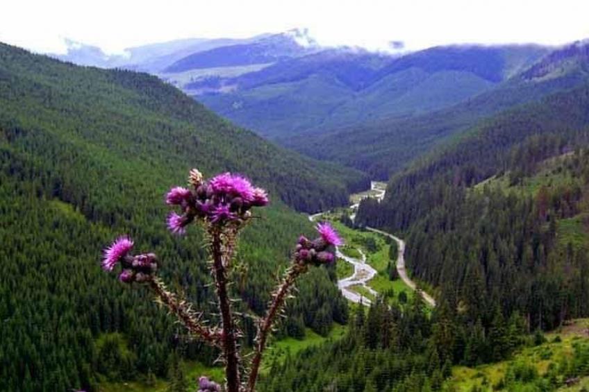 in Sibiel mit Terrasse und Grill - foto 21