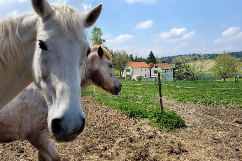 Moderne Ferienwohnung mit Hot Tub und Fasssauna - foto 31