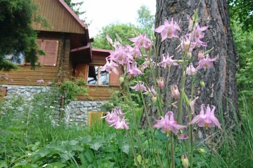 Haus am See - foto 33