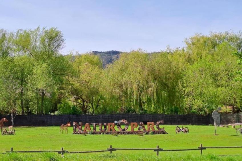 Le Domaine des Rois - foto 32