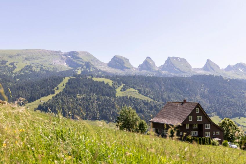 Haldenhof Schwizer - foto 2