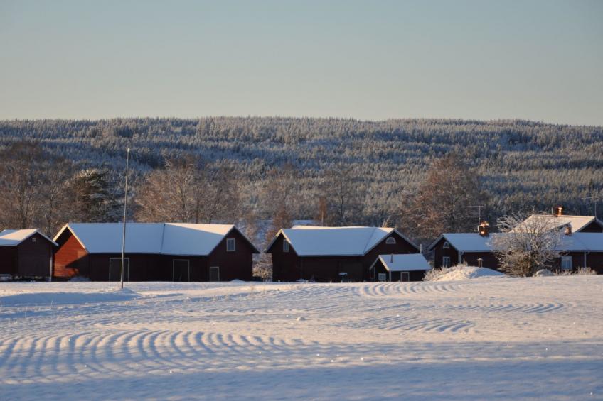 Hjortgården Stuga - foto 32