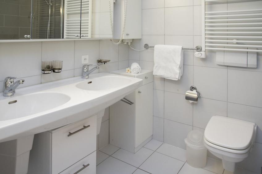 Alpes et Lac - foto 15