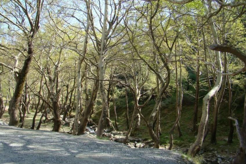 Studio mit Garten - foto 35