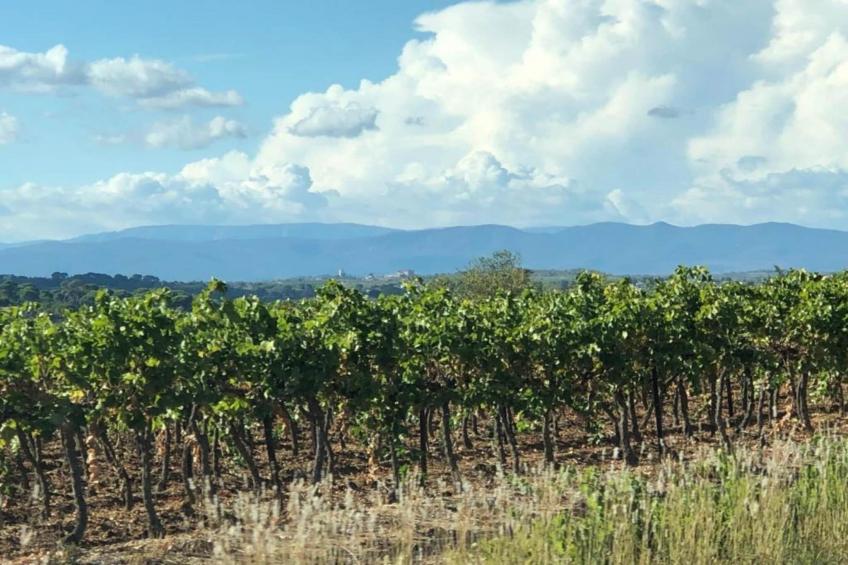 MAISON MONFORT - foto 28