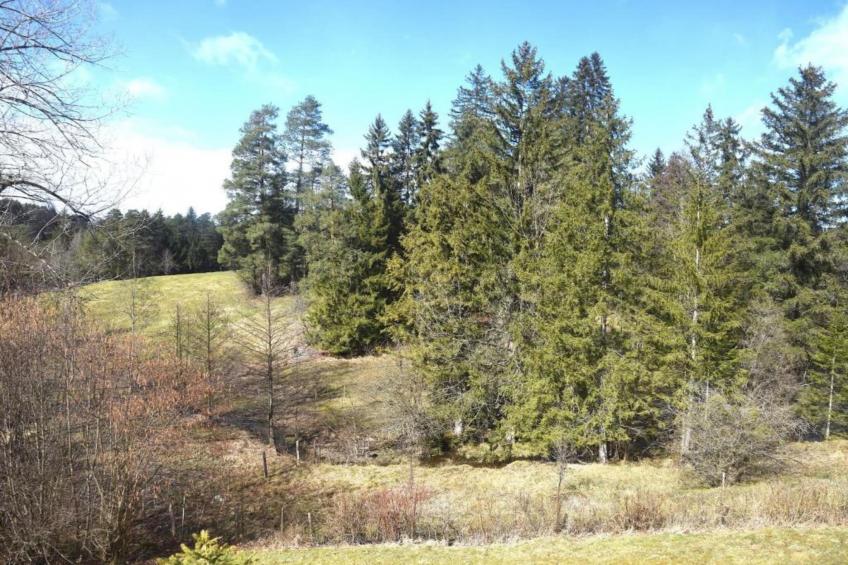 Ferienhaus Reichenbach HA - foto 24