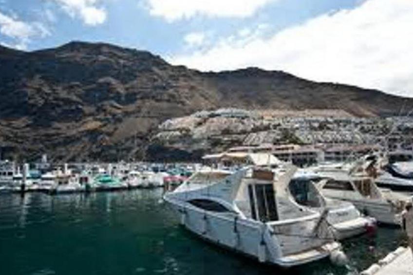 Wohnung Nicole los Gigantes - foto 17