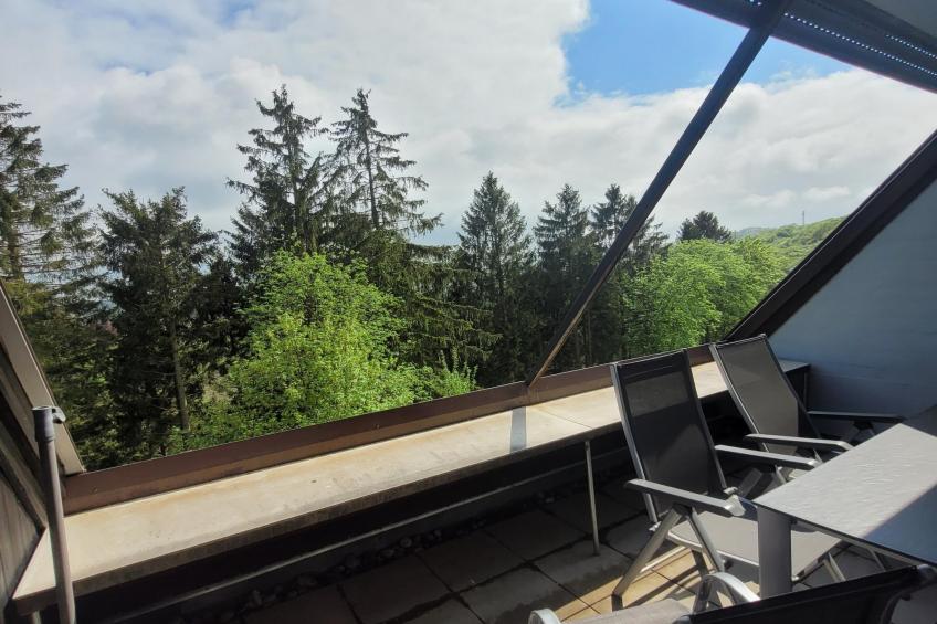 1 SZ/ 6 P Winterberg Appartments -21090 - foto 19