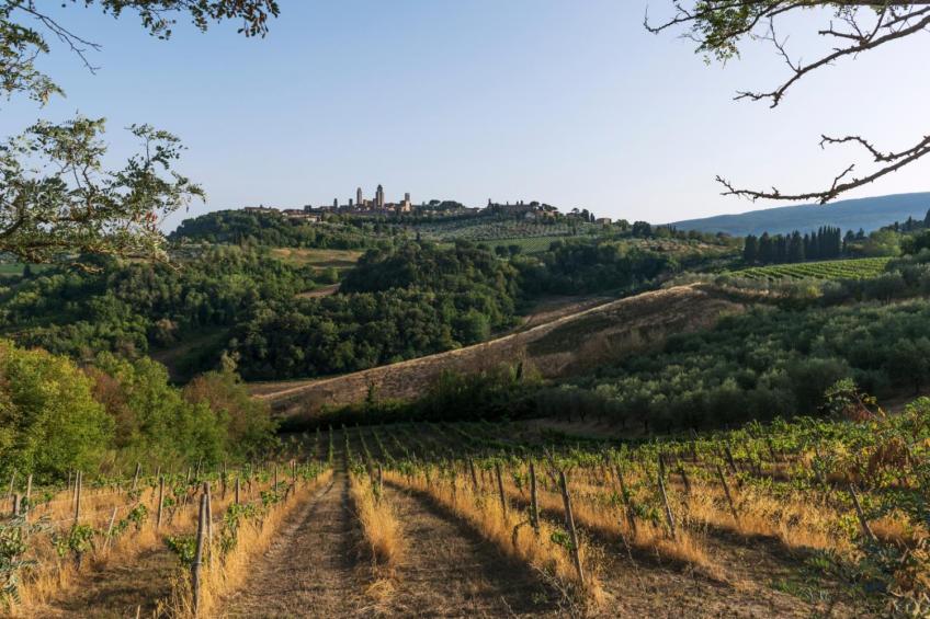 Romantic Apartment In Chianti Classico - foto 27