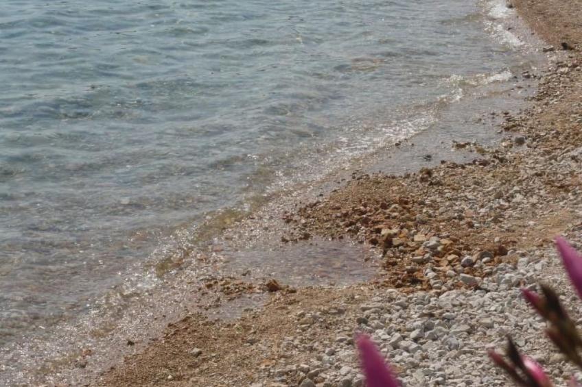 Studio mit Terrasse im ersten Stock des Hauses - foto 6