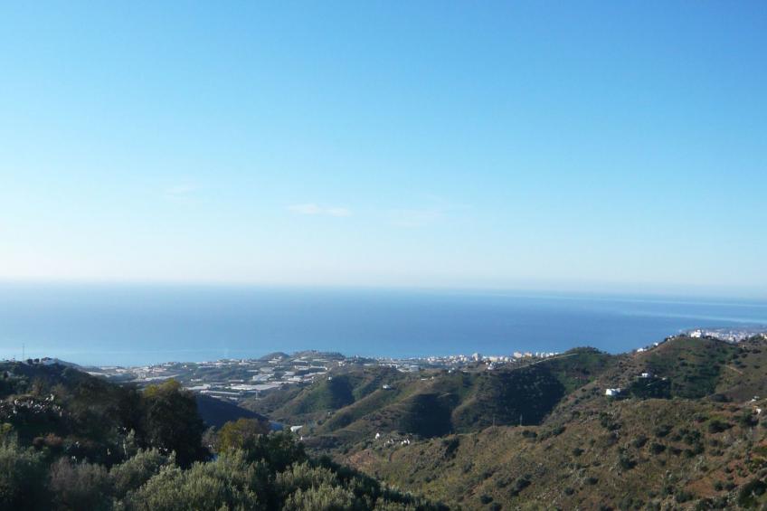 Casa Palmeras in Sayalonga mit Gepflegtem Garten - foto 25