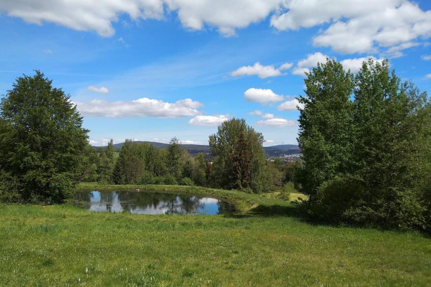 Fichtelzauber mit Sauna - foto 28