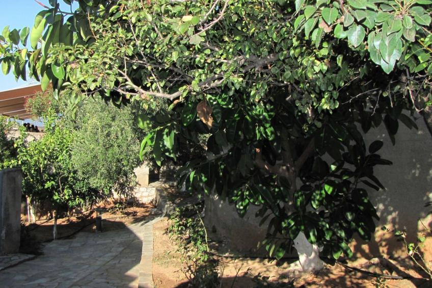 Bungalows für 2-4 Pers. mit Meerblick - foto 45