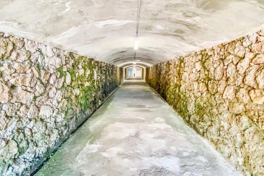 1010 Torre - foto 41