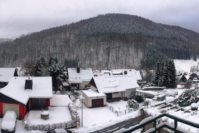 Freistehendes Ferienhaus in Sieber mit Terrasse, Garten und Grill - foto 32