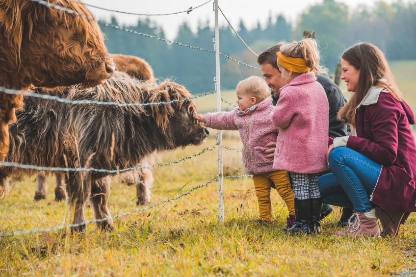 Appartement Neuastenbergerstrasse 4  | Neuastenberg - foto 14