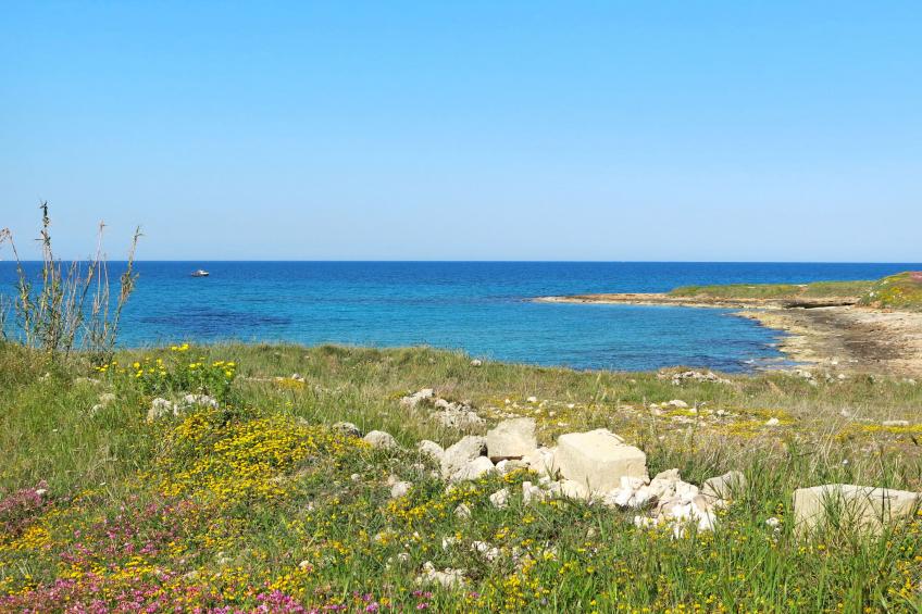 Trullo Quattro Carrini - foto 52