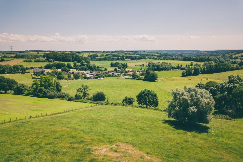 Bungalowpark Schin op Geul - foto 17