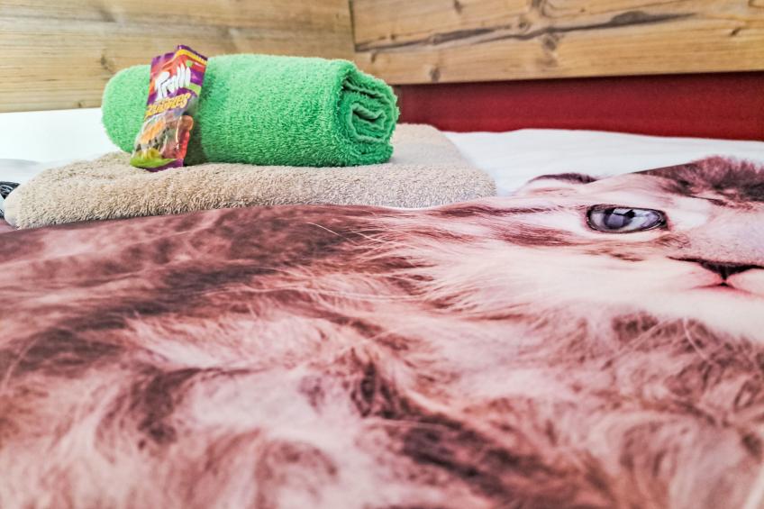 Appartement 2 - foto 52