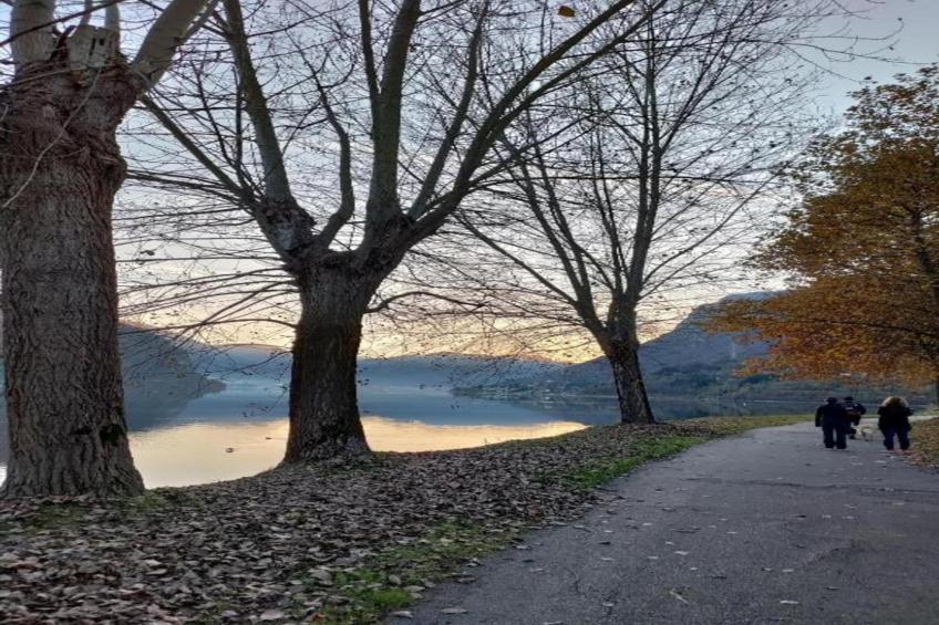 Alex Home 1 - foto 39