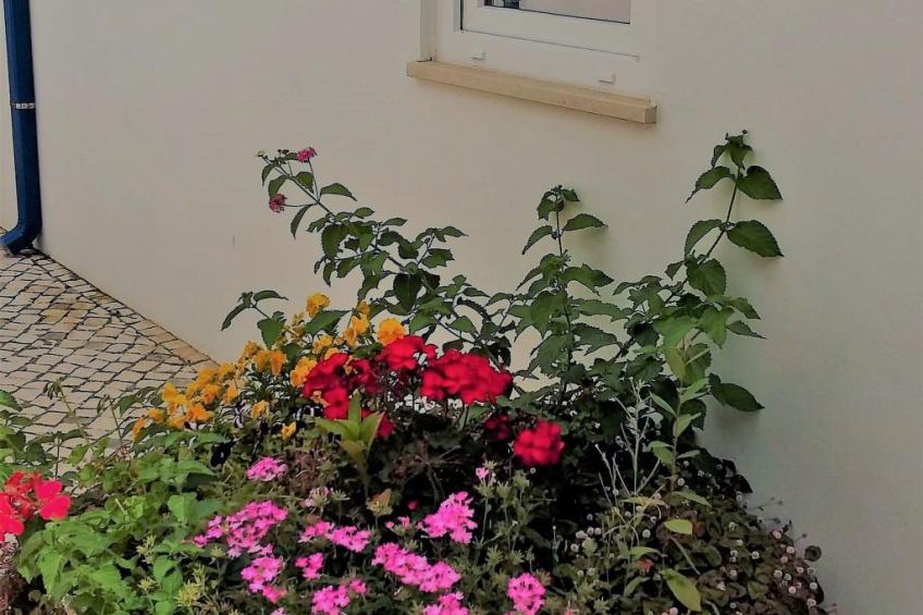 Quinta D'Avó Amélia, wunderschönes Landhaus zwischen den Bergen und dem Meer - foto 30