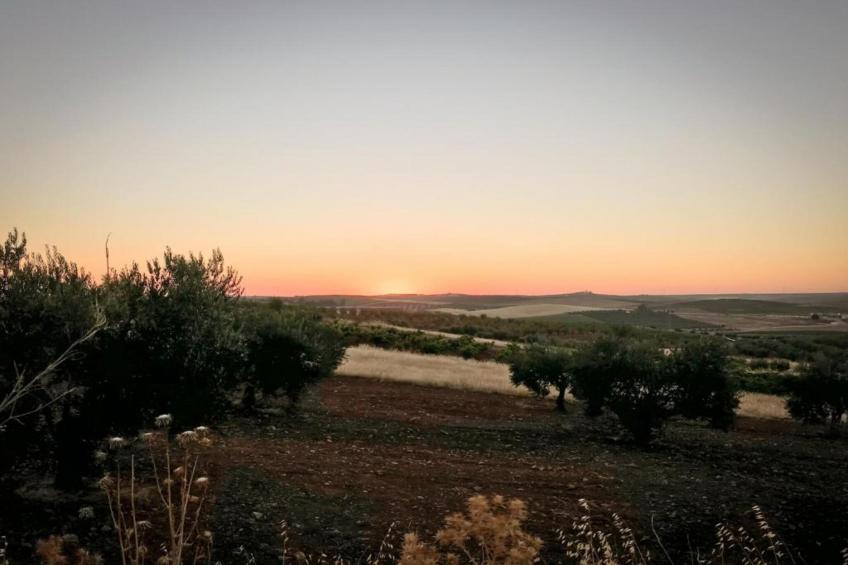 Villapark Ehzerburg 1 - foto 20