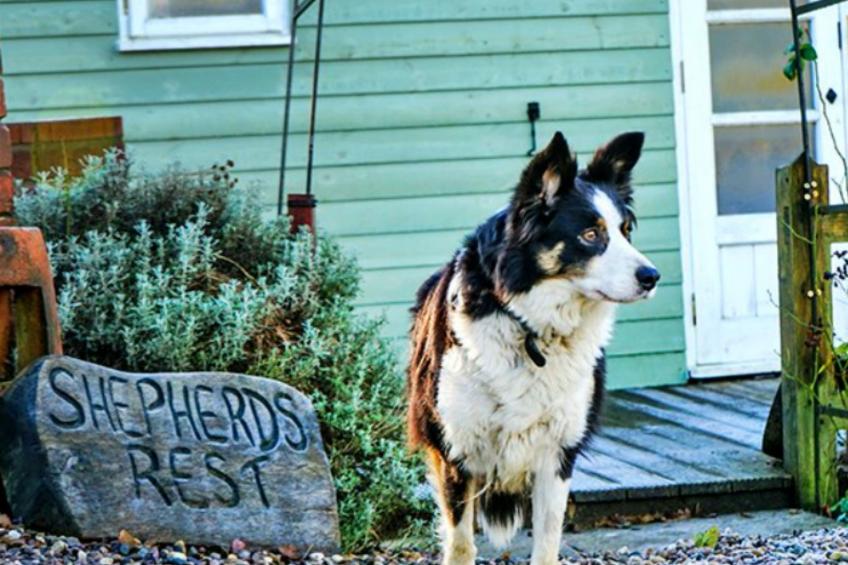 Shepherd's Rest at Morrells Wood - foto 6