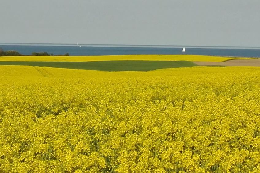 'Heile Welt' bei Maasholm - foto 22