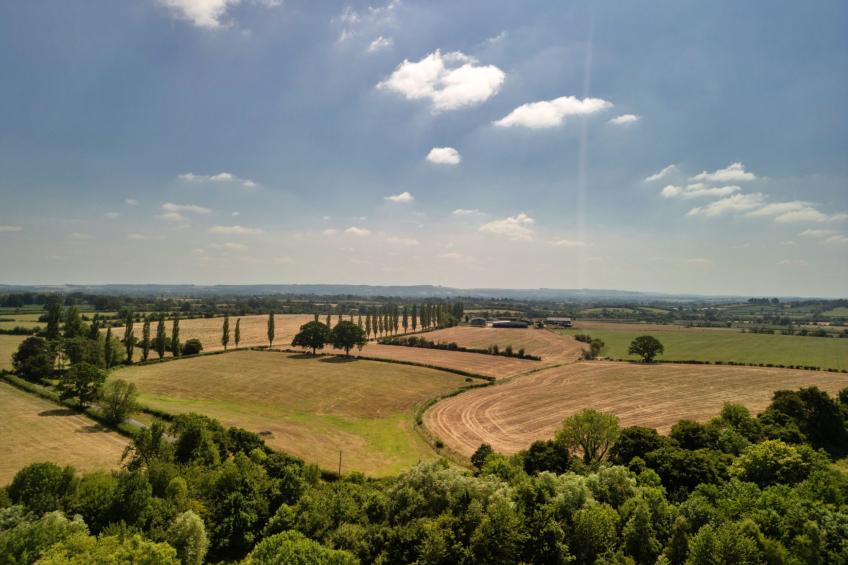 Chillstone House - foto 6