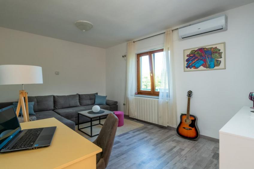 Villa SABINA - Breg Ivanovci - Three Bedroom Villa with Swimming Pool - foto 8