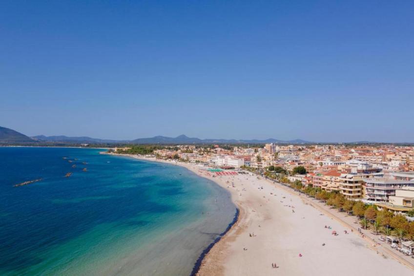 Beato Enrico - foto 37