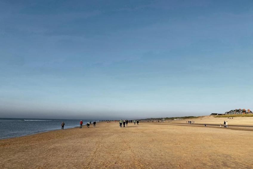 Zon in de duinen - 33 - foto 36