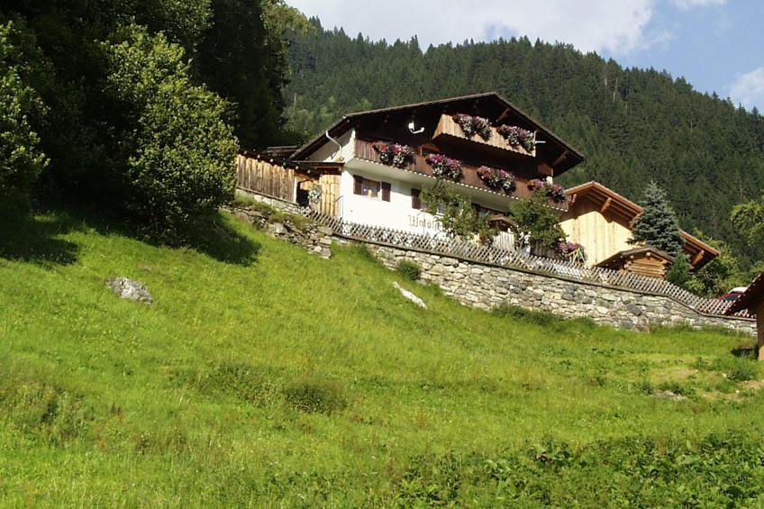 Waldheim - foto 35