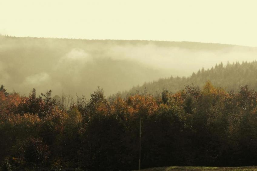 Chalet - LA HOUBE DABO - foto 37