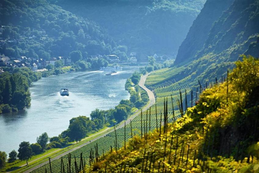 Ferienwohnung Jünkerath - foto 35