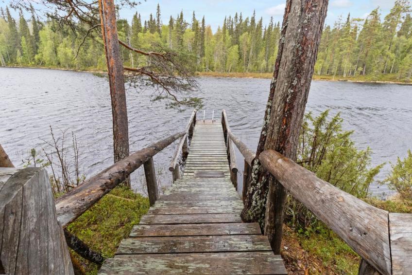 Metsä-luosto - foto 38