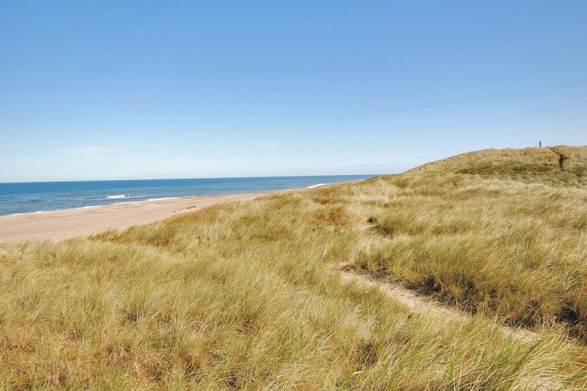 "Neven" - 900m from the sea in NW Jutland - foto 21